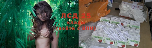 ГАЛЛЮЦИНОГЕННЫЕ ГРИБЫ Верея