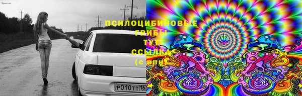 ГАЛЛЮЦИНОГЕННЫЕ ГРИБЫ Верея