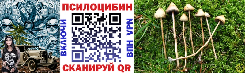 Галлюциногенные грибы Cubensis  Ковров 